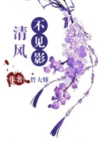 清风不见影