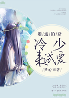 婚途陌路:冷少,来试爱在线阅读