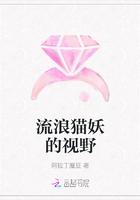流浪猫妖的视野在线阅读