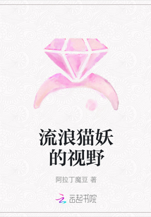 流浪貓妖的視野