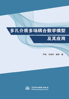 多孔介质多场耦合数学模型及其应用在线阅读