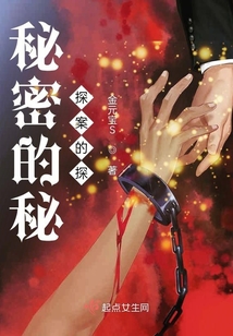 秘密的秘探案的探