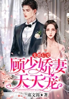 先婚后爱,顾少娇妻天天宠