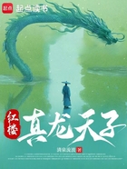 红楼真龙天子在线阅读