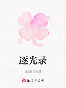 逐光錄