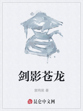 剑影苍龙在线阅读