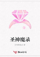 圣神魔錄在線閱讀