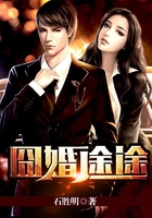 囧婚途途在线阅读