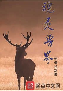 魂灵兽界