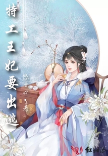 特工王妃要出逃