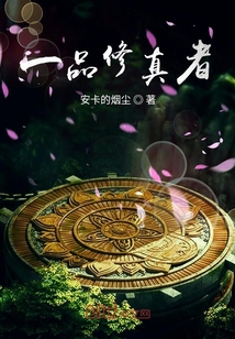 一品修真者