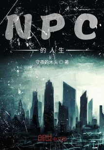 NPC的人生