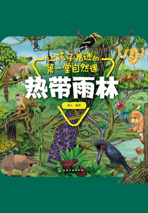 让孩子着迷的第一堂自然课:热带雨林