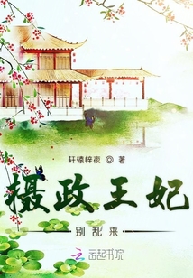 摄政王妃别乱来