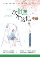 一次相遇,一生铭记(中册)