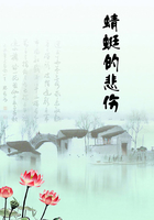 蜻蜓的悲傷在線閱讀