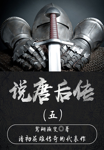 古代歷史小說：說唐后傳（五）