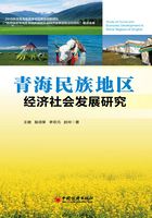 青海民族地区经济社会发展研究