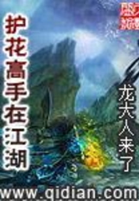 护花高手在江湖在线阅读