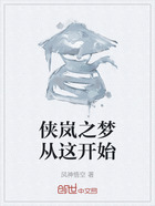 俠嵐之夢從這開始在線閱讀