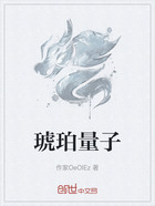 琥珀量子在线阅读