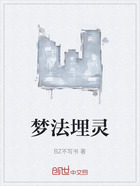 梦法埋灵在线阅读