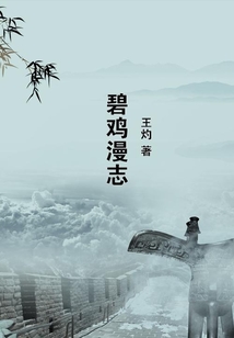 碧雞漫志