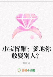 小宝挥鞭：爹地你敢娶别人？在线阅读