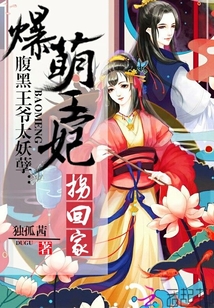腹黑王爺太妖孽：爆萌王妃拐回家