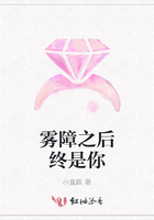霧障之后終是你在線閱讀