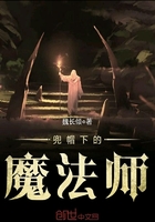 兜帽下的魔法师在线阅读