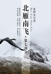 北雁南飛·第七部分(張恨水經(jīng)典小說)