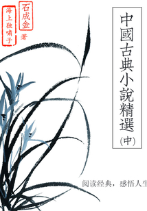 中国古典小说精选(中)