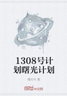 1308號(hào)計(jì)劃曙光計(jì)劃