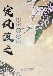 定風(fēng)波之塵世嵐雨錄