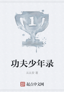 功夫少年錄