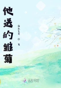 他送的雛菊