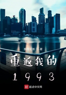 重返我的1993
