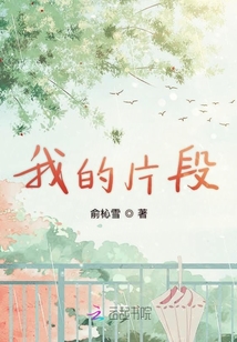 我的片段