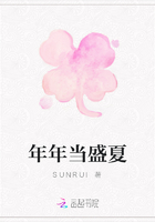 年年当盛夏在线阅读