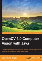 OpenCV 3.0 Computer Vision with Java在線閱讀