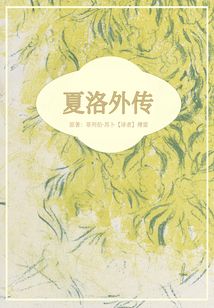 夏洛外傳