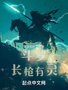 斗罗:长枪有灵在线阅读