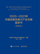 2020—2021年中国战略性新兴产业发展蓝皮书（精装版）