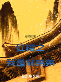 紅樓之我是林弟弟