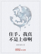 住手,我真不是上帝啊在线阅读