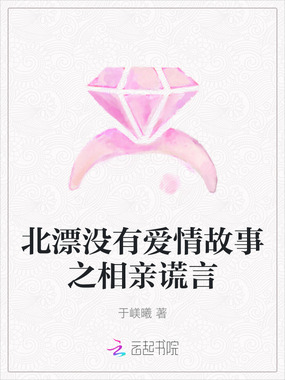 北漂没有爱情故事之相亲谎言在线阅读