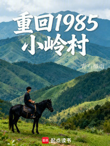 重回1985小岭村（苏岩、莫素云）在线阅读