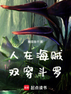 人在海贼,双穿斗罗在线阅读