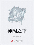 神阁之下在线阅读